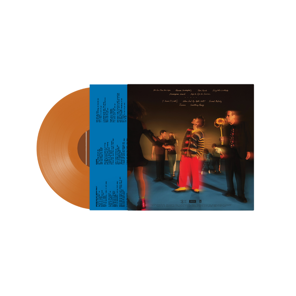 Jacob Collier: The Light For Days D2C Colour LP Back
